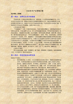 足浴系列产品营销方案.doc