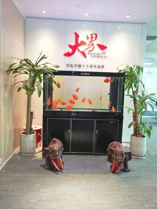 【厦门大界营销策划市场/营销工资待遇怎么样】